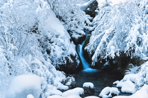 小溪树枝厚厚的雪景4k风景壁纸