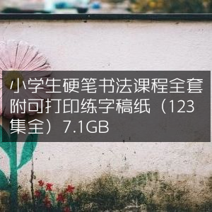 小学生硬笔书法全套课程，含123集视频+可打印练字稿纸，资源7.1GB