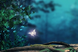 虚化背景户外森林夜景banner