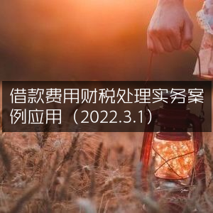 借款费用财税处理实战案例分析（2022年3月1日）
