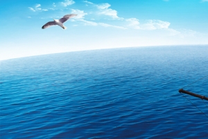 乘风破浪帆船大海企业文化banner