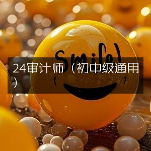 24审计师（适用于初中级）