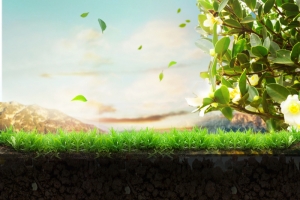 土壤绿植地下背景素材