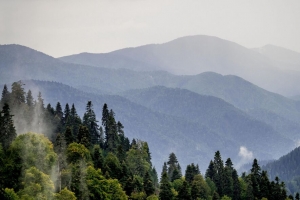 山脉 森林 树木 雾 自然 风景 4k壁纸 3840x2160