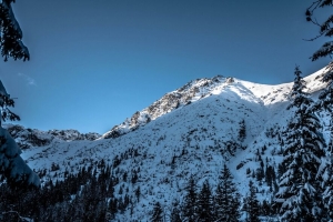 山 雪 树 景观 自然 4k壁纸 3840x2160