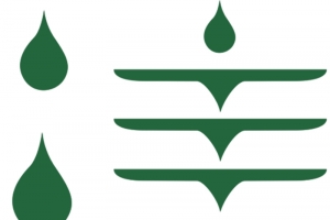 清明雨滴字体设计