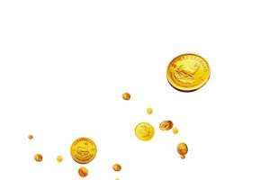 金币