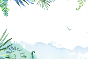 清新唯美文艺海报banner