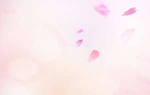 女装淘宝banner背景图