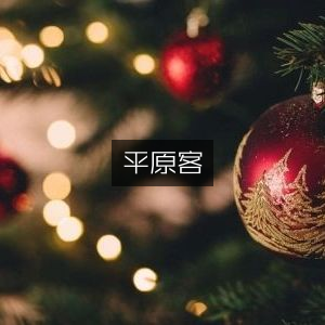 平原客，文学艺术书籍精选