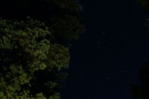 夜晚 树木 星星 星空 4k壁纸 3840x2160