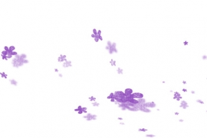 花卉