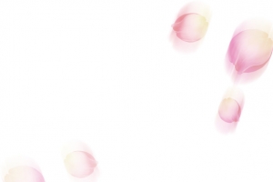 花瓣