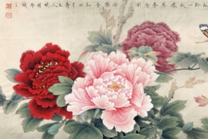 工笔画牡丹花淘宝网站背景图