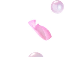 粉色珍珠花瓣素材