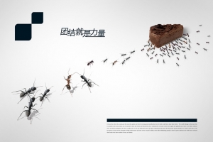 创意公益励志海报