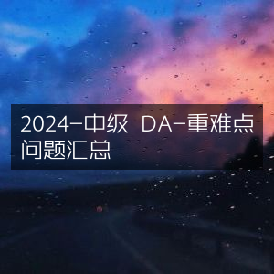 2024中级DA考试重难点问题精编汇总