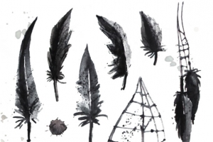 手绘黑羽和蜘蛛网