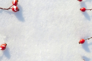 立冬腊梅小清新简约灰色banner