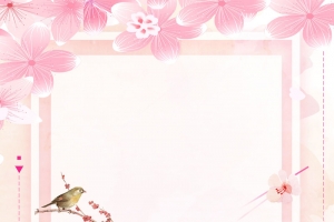 38妇女节玫瑰花背景