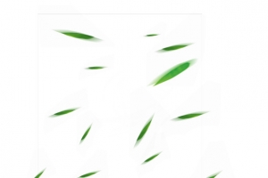 风吹绿叶