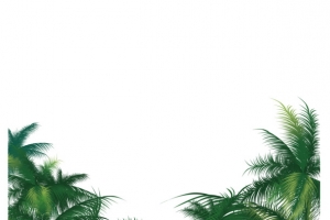 椰子树矢量素材