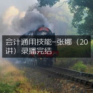 会计通用技能20讲录播课-张娜主讲（已完结）