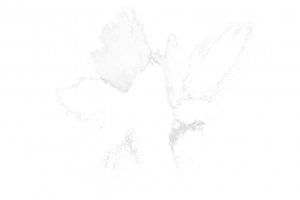 白色粉末飞溅高清透明PNG装饰元素特效图片设计素材免费下载