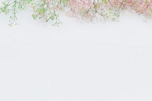 花草背景图片