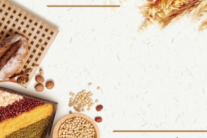 谷物秋季丰收淡雅banner