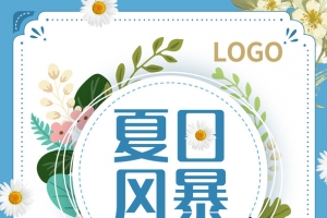 夏日风暴清新海报