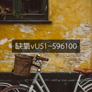 缺氧游戏下载vU51-596100