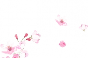 教师节矢量手绘康乃馨水彩画