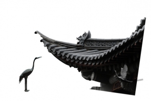房顶