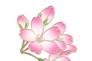 粉色樱花枝条