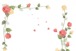 手绘玫瑰花朵边框