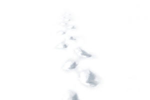 白色冬日雪地脚印