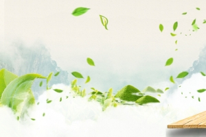 绿色清新叶子茶叶茶饼饮品淘宝banner