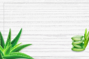 秋季新品芦荟补水护肤品清新纹理banne