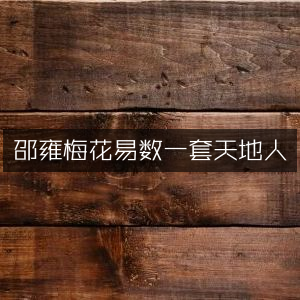 邵雍《梅花易数》，一套融合天地人的古典文集