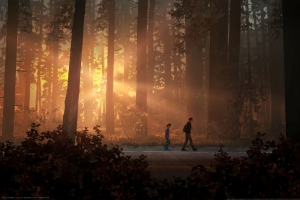 《Life is Strange 2》3840x2160游戏壁纸4k