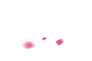花瓣