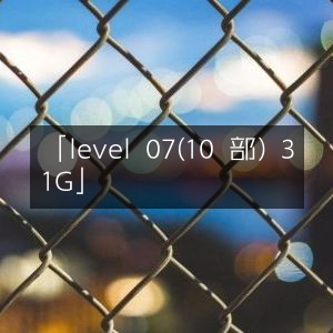 高清资源，Level 07（共10部）31GB