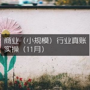 11月小规模商业行业真账实战操作指南