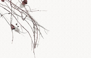 文艺女装banner