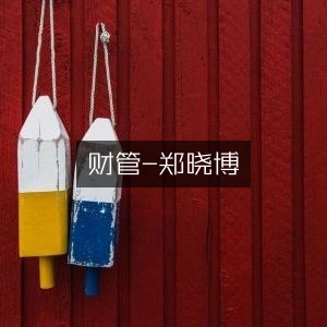 郑晓博的财务管理指南