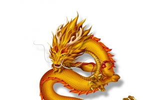 黄金龙图片素材