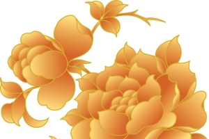 牡丹花