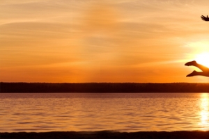 爱情情侣夕阳下美景图背景banner