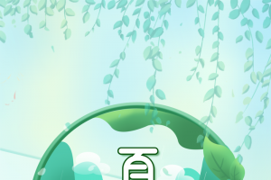 夏至树叶荷花荷叶青蛙树叶